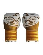 BOXING GLOVES